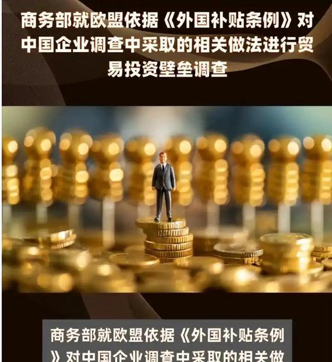 中资芯片公司147亿西方又现“双标”执法mg不朽情缘游戏平台芯片战升级！荷兰冻结(图4)